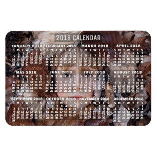 Kalender 2018 (zie beschrijving voor nieuwe versie magneet