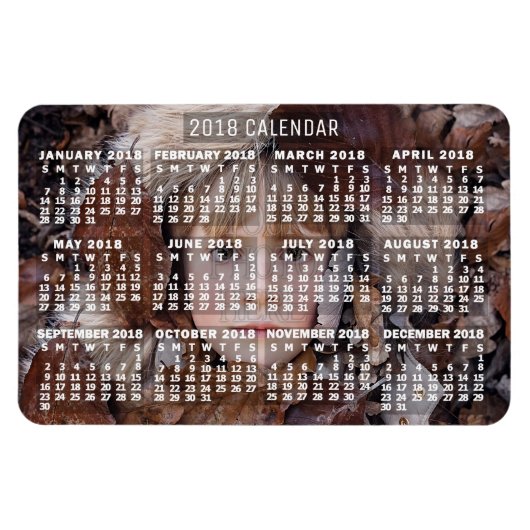 Kalender 2018 (zie beschrijving voor nieuwe versie magneet (Horizontaal)