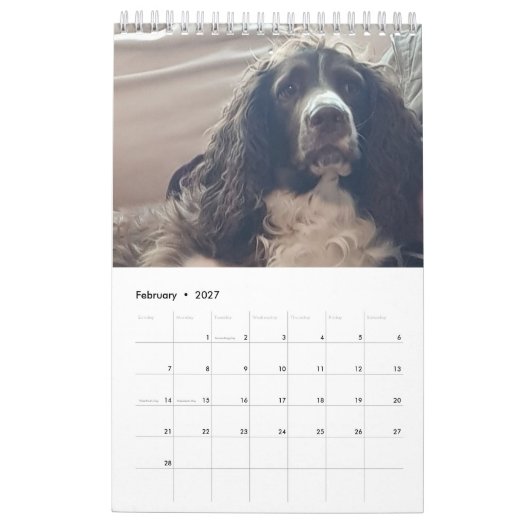 kalender 2019 (Feb 2027)
