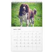 kalender 2019 (Mar 2027)