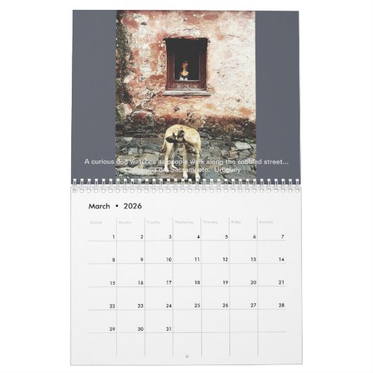 KALENDER 2019 (Mar 2026)