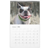 Kalender 2019 Bubba Louie (Jan 2026)