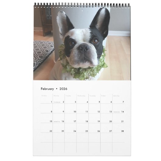 Kalender 2019 Bubba Louie (Feb 2026)
