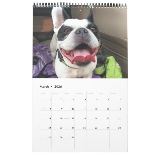 Kalender 2019 Bubba Louie (Mar 2026)