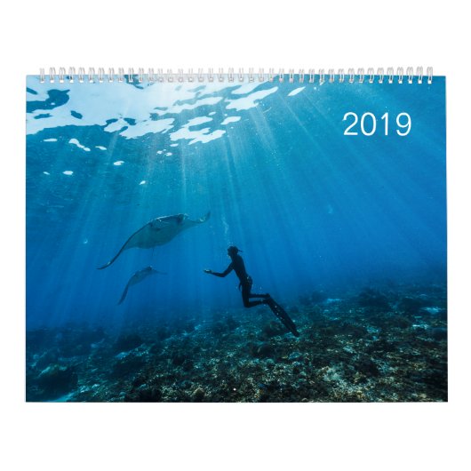 Kalender 2019 - Onder het oceaanoppervlak (Hoes)
