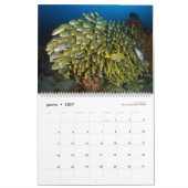 Kalender 2019 - Onder het oceaanoppervlak (Jan 2027)