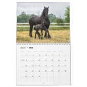 Kalender 2019 voor Majestic Friesians (Mar 2026)