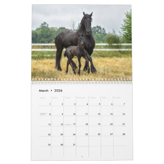 Kalender 2019 voor Majestic Friesians (Mar 2026)