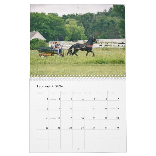 Kalender 2019 voor Majestic Friesians (Feb 2026)