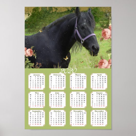 Kalender 2020 Paard ~ Poster (Voorkant)