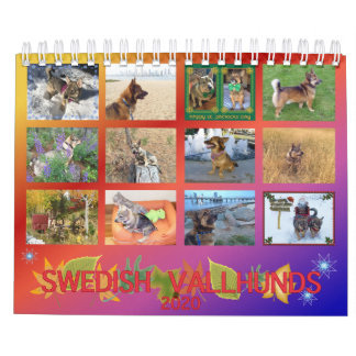 Kalender 2020 van het Zweedse Vallhund