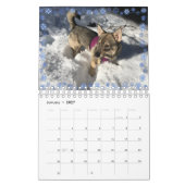 Kalender 2020 van het Zweedse Vallhund (Jan 2027)