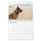 Kalender 2020 van het Zweedse Vallhund (Feb 2026)