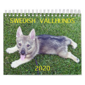 Kalender 2020 van het Zweedse Vallhund (Hoes)