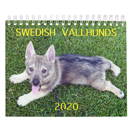 Kalender 2020 van het Zweedse Vallhund (Hoes)