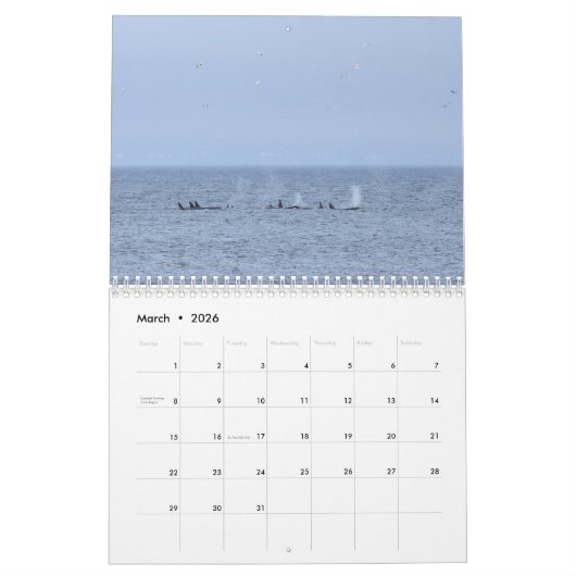 Kalender 2020: Zuidelijke inwoner Killer Whales (Mar 2026)