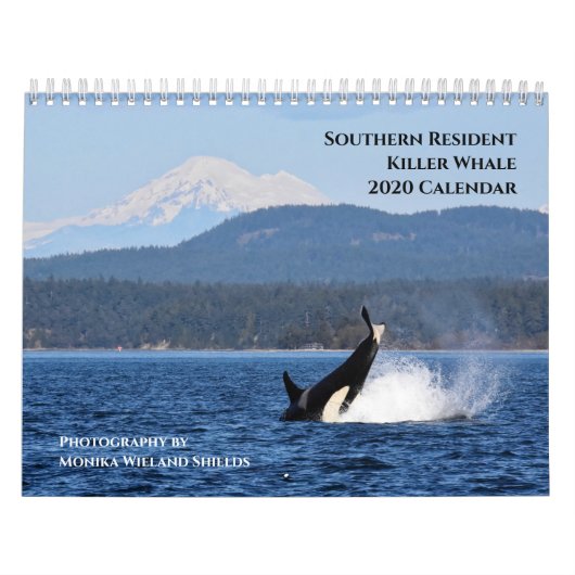 Kalender 2020: Zuidelijke inwoner Killer Whales (Hoes)
