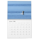 Kalender 2020: Zuidelijke inwoner Killer Whales (Jan 2026)