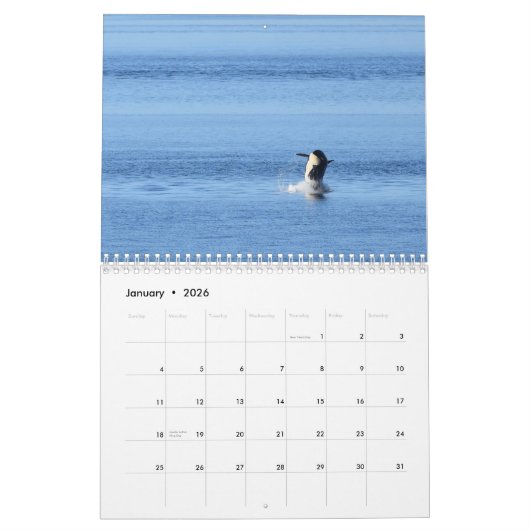 Kalender 2020: Zuidelijke inwoner Killer Whales (Jan 2026)