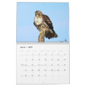 Kalender 2021 12 maanden, Haviken (Mar 2027)