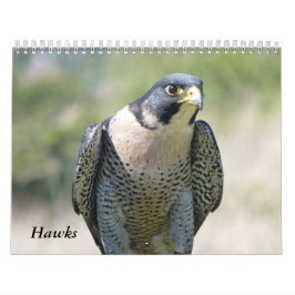 Kalender 2021 12 maanden, Haviken