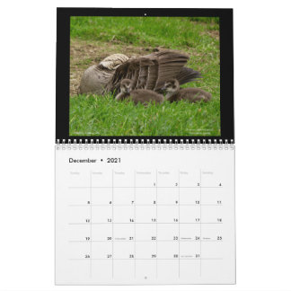 Kalender 2021 voor de juwelen van Hawaï