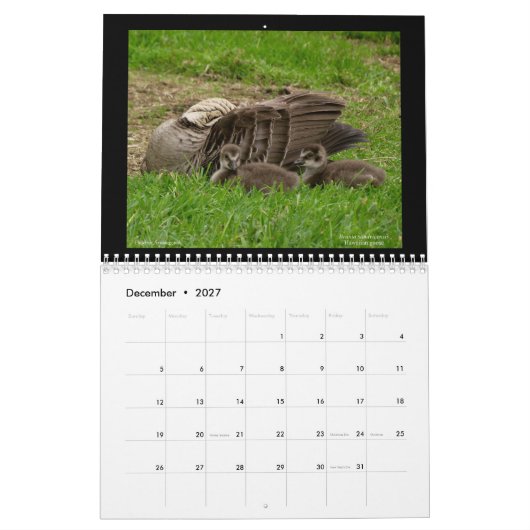 Kalender 2021 voor de juwelen van Hawaï (Dec 2027)
