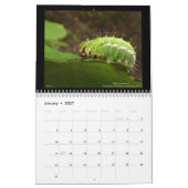 Kalender 2021 voor de juwelen van Hawaï (Jan 2027)