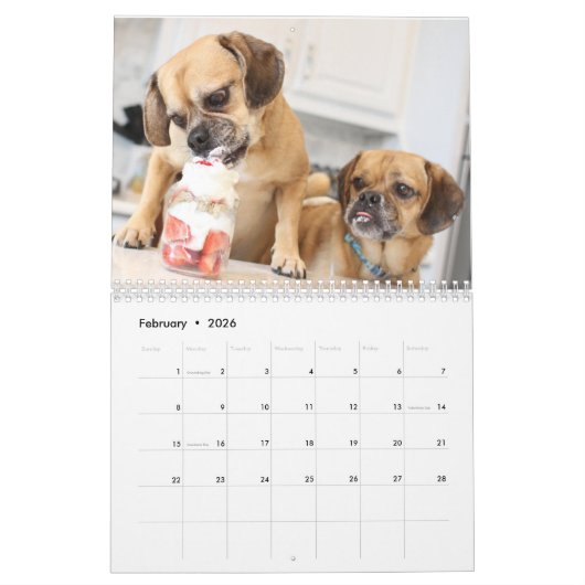Kalender 2022 puggle (Feb 2026)