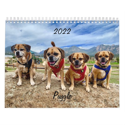 Kalender 2022 puggle (Hoes)