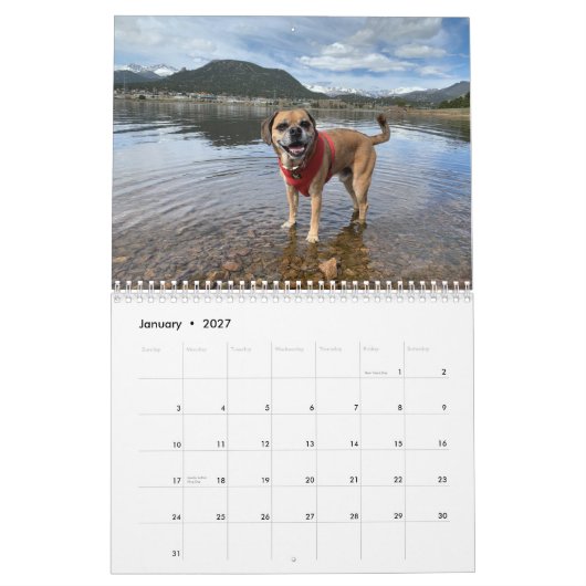 Kalender 2022 puggle (Jan 2027)