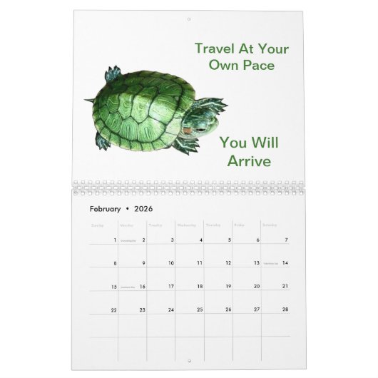 Kalender 2022 Schildpad (Feb 2026)