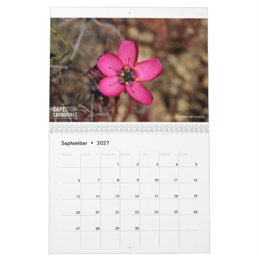 Kalender 2022 voor Kaapverdië (Sep 2027)