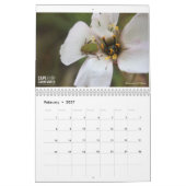 Kalender 2022 voor Kaapverdië (Feb 2027)
