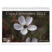 Kalender 2022 voor Kaapverdië (Hoes)
