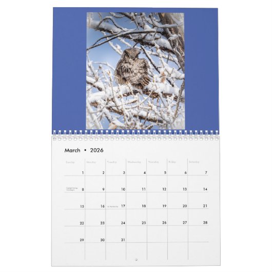 Kalender 2022 voor vogels (Mar 2026)