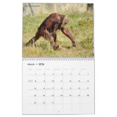 Kalender 2023 dieren (Mar 2026)