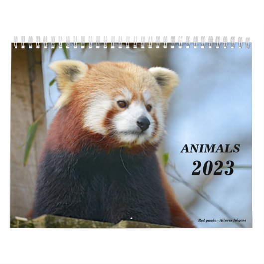 Kalender 2023 dieren (Hoes)