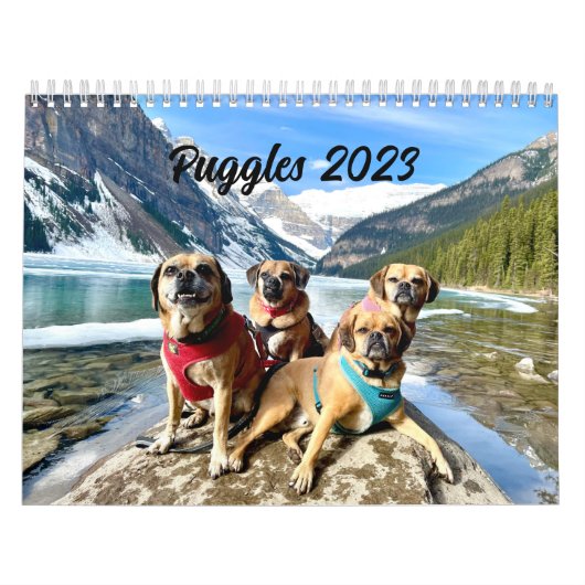Kalender 2023 instellen (Hoes)