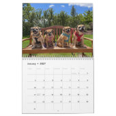 Kalender 2023 instellen (Jan 2027)