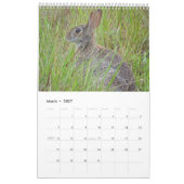 Kalender 2023 Sanibel Island (Mar 2027)