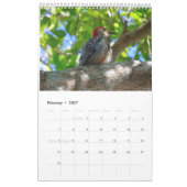 Kalender 2023 Sanibel Island (Feb 2027)