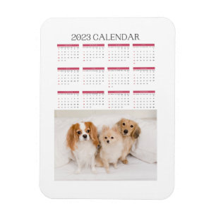 kalender 2023 schattige honden magneet