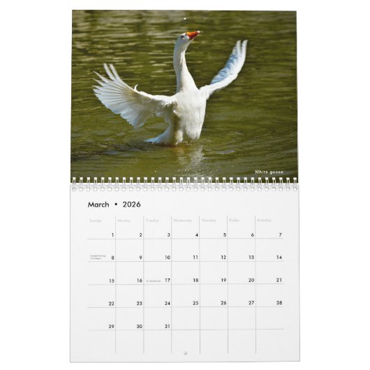Kalender 2023 van verschillende vogels (Mar 2026)