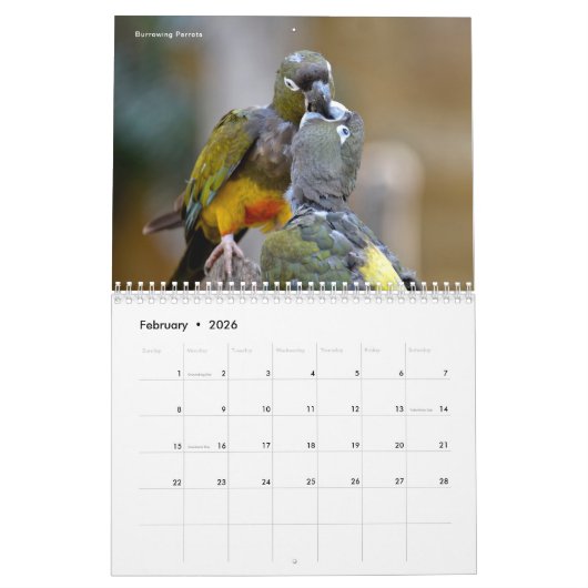 Kalender 2023 van verschillende vogels (Feb 2026)
