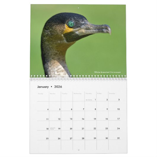 Kalender 2023 van verschillende vogels (Jan 2026)