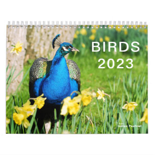 Kalender 2023 van verschillende vogels