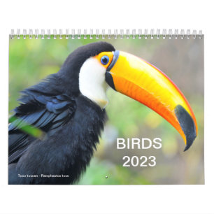 Kalender 2023 van verschillende vogels
