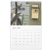Kalender 2024 Achtertuin Vogels (Mar 2027)