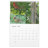 Kalender 2024 Achtertuin Vogels (Feb 2027)